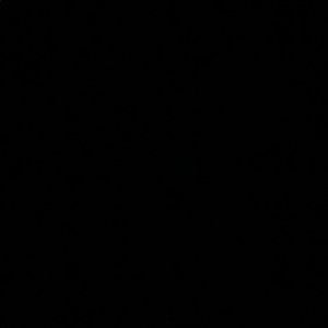 Meet your Posher, Blake